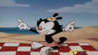 Animaniacs الضاحكون 5vatiqyocfd6_t