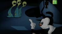 Animaniacs الضاحكون Pxf8p1do4ppa_t